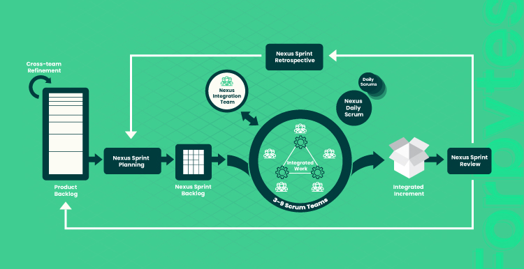 illustration of Nexus process