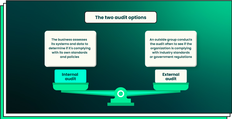 software audit